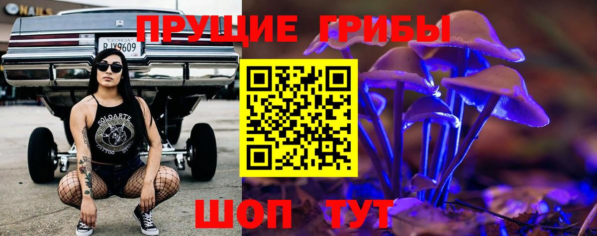 Псилоцибиновые грибы прущие грибы  Галлюциногенные грибы прущие грибы  Алейск  Вход с VPN 